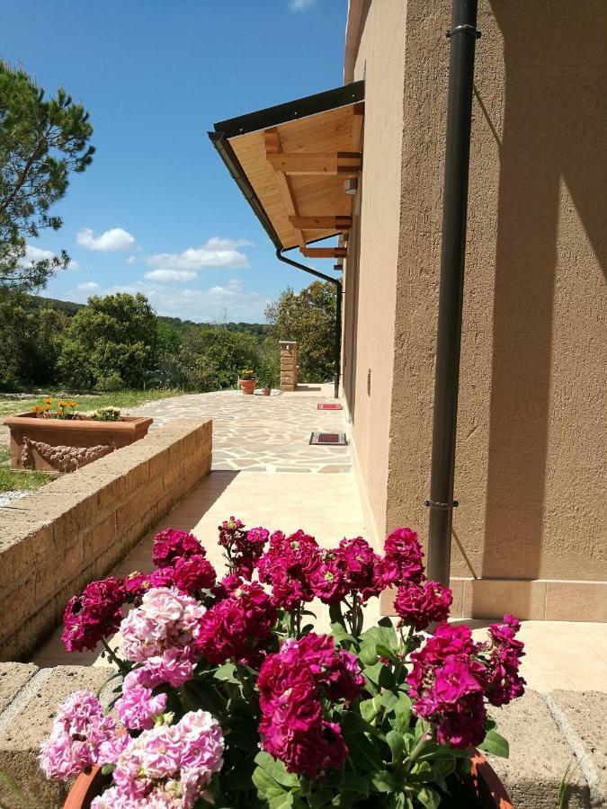 Вилла Sonnellino In Maremma Масса-Мариттима Экстерьер фото